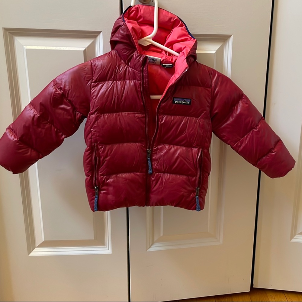 Patagonia 2T Hi Loft Down Hoodie